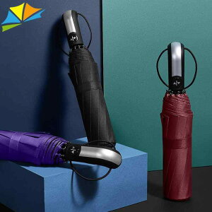 JpP jp lp J ܂肽ݎP 10{ v H |GXen rWlX ʋ ʊw ig O܂P