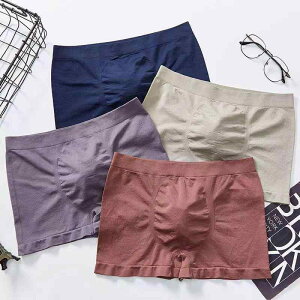 {NT[pc u[t Y jp V[X XgXt[ ʋC  z \tg 炩G ~bhCY n Vv 傫TCY |GXe I[V[Y 