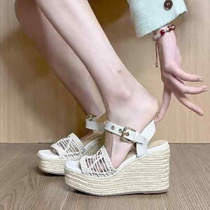 T_ fB[X  t`X^C I[vgD  GXph[ EFbW\[ nCq[  JbgAEg ҂ݍ OfBG[^[ t {v ~