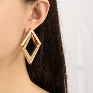 sAX fB[X ĕ t@bV  _uC[ ^t T[N 􉽊w͗l XNGA hbvsAX  dCbLH S[h