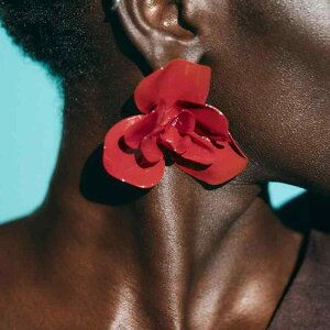 CO sAX fB[X t ĕ Ԃ t[`[t  ݊ ig ʋ ][g p[eB[  dCbLH S[h Vo[ bh sN zCg