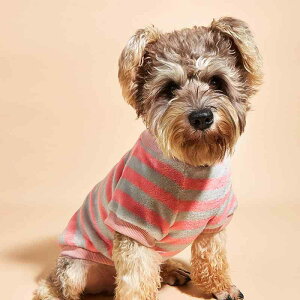 ybg Lp H~ sN XgCv  t[X |GXe ےg  XEFbg g[i[  hbOEFA LbgEFA