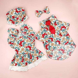 L Vc H ^ Lp   yAbN Rbg  ݕt efB rV pO uhbO V[yC `F[ t[c(x2)