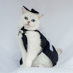 ybgp s[X  Lp ؍ i GKg [X { t JA L~\[hX |GXe sN   F u[ t ^ ^ ꒅ o