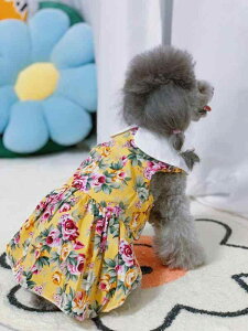  hbOEFA t Ђ܂蕿 h[J[ Vcs[X vZX Rbgn K ʋC U o  킢(x2)