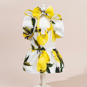 hbOEFA ̎q ^ 킢 { Rbg s[X U o rVt[[ gCv[h ʋC