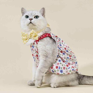 ybg ^ ^ Lp ĕ  Rbg 킢 ԕ ^Ngbvs[X MU[XJ[g jZbNX hbOEFA LbgEFA  bh U ig K(x2)