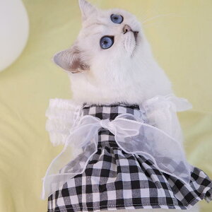 ybgEFA ̎q L p `FbN [X vZXhX tH[} t |GXe ȍ  Ԕ s[`sN(x2)