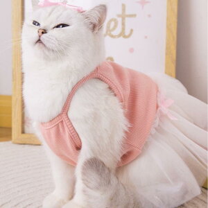  ̎q vZX `[s[X thX  킢 ^ ^ t`uhbO pO R[M[ U o |GXe ubN zCg s