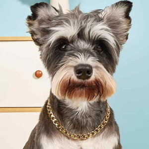 ペット用 犬猫兼用 ネックレス チェーン ゴールド メタル かわいい おしゃれ インスタ風 インフルエンサー 幾何学模様 カジュアルスタイル 普段使い 首飾り