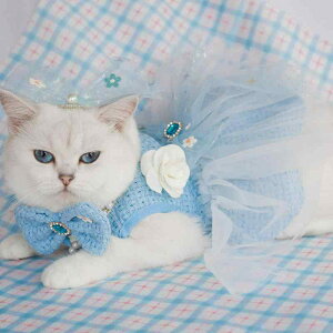 ���L�p �h���X ���L���p �E�F�f�B���O �t�H�[�}�� �畞 ���� ��i �G���K���g �v�����Z�X �m�[�X���[�u �ӂ�ӂ� �`���[�� �|���G�X�e�����a ������ �a���� �L�O�� �B�e�p �m��(x2)