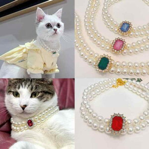 ybgp L  p[ CXg[ A d˕t  GKg  vZX o  tH[} bh u[ sN O[ zCg