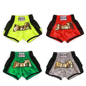 ショートパンツ 男女兼用 キッズ 格闘技 武術 散打 ボクシング ムエタイ 練習着 トレーニングウェア ブラックメッシュ ライクラ ポリエステル 伸縮性 吸湿速乾(x2)