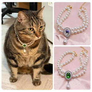 ybgp  L vZX _up[ lbNX Ώ 킢 ^ gCv[h rVt[[ [NV[eA