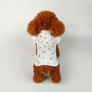 hbOEFA ^ ^ TVc Jbg\[ t [X ԕ sN 킢 Rbg ȍa gCv[h |jA ʋC ig U o t