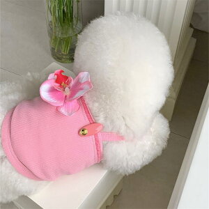  L ڐG⊴ Ђ N[ ̌Ӓ ^Ngbv xXg Rbguh t ^ ^ U ig 킢