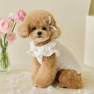 ybgEFA  L ̎q ^p TVc gbvX Ci[ 킢 ȍ Rbguh zCg 炩G ێ N[lbN ig U o 