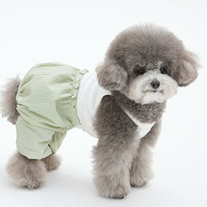 ybgEFA hbOEFA p `FbN ȍf JWA 2Ȃ p[X U  pW} t sN CgO[ ^ ^