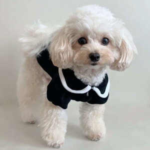 ybgEFA  L TVc xXg ~^[fUC vZX 킢 Rbguh ^p ̎q ꒅ 