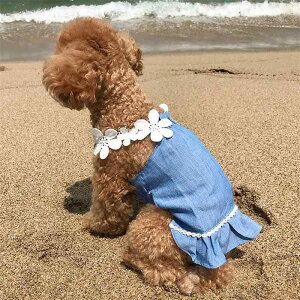 ps[X ̎q ybgEFA hbOEFA fj NVbN u[ Rbga JWA t ^ ^ U