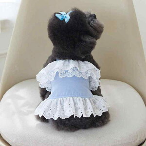 ybg  L ̎qp ^ ^ efB rV t`uhbO R[M[ ViEU[ t [X s[X hX ȍf ԕ sN zCg 킢  U