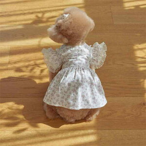 ybg ̎qp ^ ^L gCv[h rVt[[ q qL R[fC ԕ t[vg vZX ȍf s[X hX t U o Itz