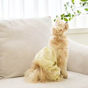  ̎q ėp 2 p[X Jo[I[ Xqt ^ efB rV hbOEFA ʋC ȍ JWA CG[ u[