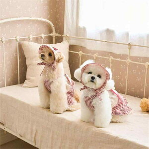  L ̎q vZXhX s[X { [X mg[`FbN t ȍa 킢 t Ԕ  Xqt U o