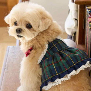  hbOEFA NVbN p `FbN s[X hX ^ t ȍf _[NO[ fj gCv[h rVt[[ 킢 ig U o