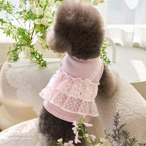 ybgEFA  L ̎q ^ ` gCv[h |jA v[h }`[Y t btn [X t 񑫑 ȍa Rbg JWA ig sN O