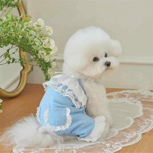 Lps[X ̎q ^ ^p 킢 vZX gCv[h v[h |jA L ȍf F J[L t
