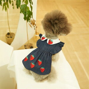 L t hbOEFA LbgEFA fj pCibv s[X hX Rbguh ʋC K U o JWA wbhANZT[t