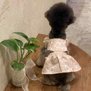 ybg ^ ^ efB rV t 킢 n[g WK[hD gbvX XJ[g 2_Zbg ȍ sN i op