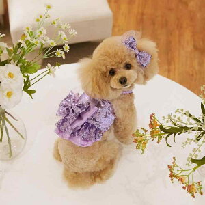 �y�b�g�� ���� �L�� �v�����Z�X �h�b�O�E�F�A �X�p���R�[�� �L���~�\�[�� �����s�[�X �h���X �|���G�X�e�� �L���L�� �؂₩ �E�F�f�B���O ������ �p�[�e�B �t�H�[�}�� ���킢�� ���o������ 