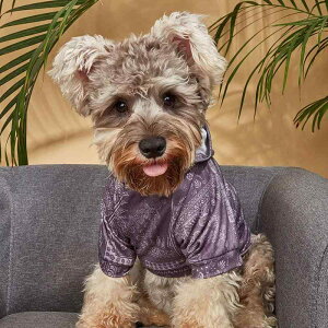  L ^p hbOEFA LbgEFA t[htp[J[ XEFbg CX^ 킢 U ig ё΍ |GXe p[vO[