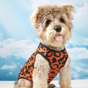 ybg  L xXg qE CX^ uE |GXe gCv[h |jA ViEU[ hbOEFA LbgEFA U ig  킢