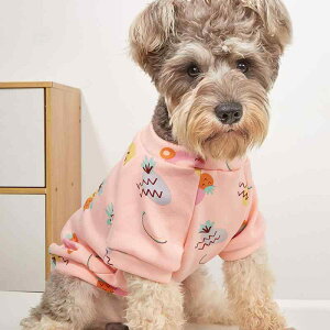 p[J[ ^p  L q qL H~ r 񑫕s ybg hbOEFA LbgEFA |GXe  킢 JWA [EFA sN pCibv ig