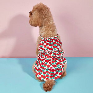 ybg Lp L~\[ s[X t[c ouXJ[g ][g t hX |GXe JWA ^ ^ 킢 U ig