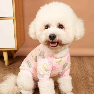 ybg  Lp  X vg hۉ  t[X g[i[ XEFbg H~ |GXef JWAEFA sN ObY