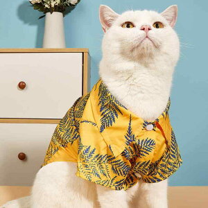 Vc  L hbOEFA LbgEFA ybg H~ F [t |GXe CX^  JWA ig U