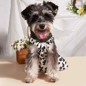 ybgEFA  L ̎q  fCW[ L~\[s[X  Rbg Xgb` Lk JWA  ԕ 