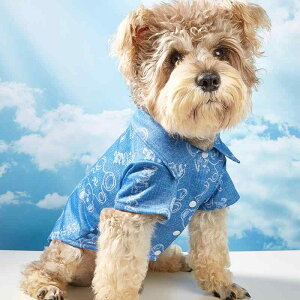 ybgpVc  L ėp fj N} xAvg |GXe ʋC K 킢  ig U hbOEFA LbgEFA