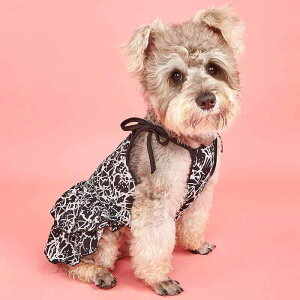  hbOEFA ^p t ȕ L~\[s[X TXy_[XJ[g  mg[  Rbg  U o 킢  ViEU[ efB rV