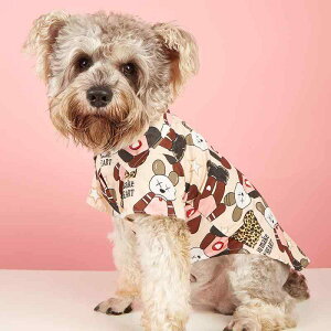 Vc Lp t ^ efB ViEU[ |jA q Rbg EFA  킢 ig U o h[ vg  K