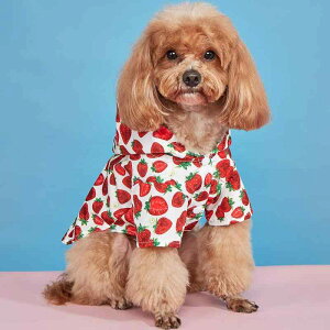 p CR[g  h hbOEFA t ~J΍ U 킢 ybgEFA y |GXef ^ ^