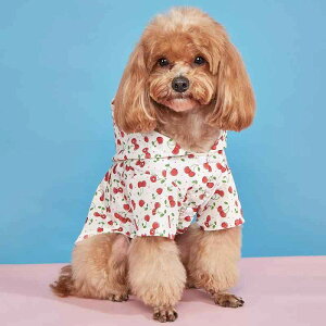 pCR[g t ڕ 킢  CX^f ^ ^ ^ h  |GXe ybgpJ U ~J΍