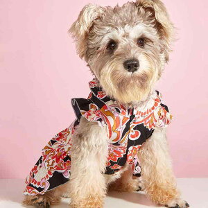 ybgps[X Lp 킢    CX^ t |GXe U o Bep