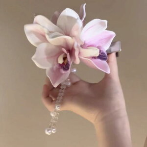 wAANZT[ wANbv fB[X  p[ ^bZ _bNrNbv   nhCh i GKg tF~j XEB[g  ؍ t t[