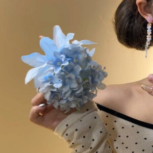 wAANZT[ fB[X `Ci AWTC t[  wANbv TChNbv  uC_ ܂Ƃߔ Bep Õ  ؍ t   sN