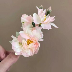 wAANZT[ wANbv fB[X   WsN ܂Ƃߔ AbvwA TChNbv  ؍ i ؂₩  s ʐ^f t 